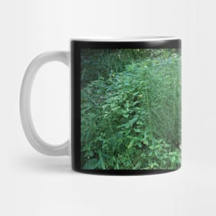 Horsetail At The Edge Of The Forest Mug